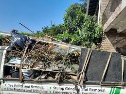 Best Basement Cleanout  in Mount Holly, NC